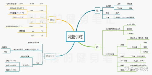 如何通过了解食物营养成分来优化孩子的饮食