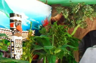 童年的乐园，初中生活与游乐场的回忆