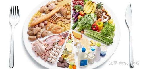 营养宝库，揭秘食物营养价值排名前十名