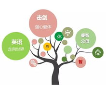 幼儿园教育，关键概念与理念的全面解读