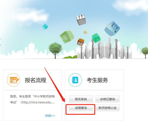 如何高效查询幼师资格证成绩，官方入口及步骤指南