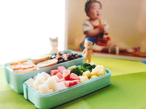 如何使用食物营养查询工具来提升儿童饮食健康