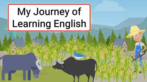 我的成长史，英文学习之旅