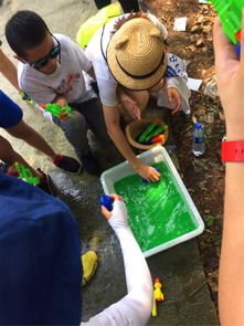 社区参与，幼儿园教育的催化剂