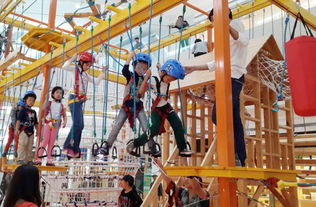 游乐设施加盟店，为孩子打造快乐成长的空间