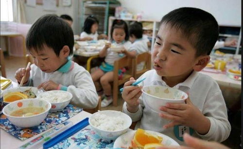 构建孩子健康成长的基石，均衡饮食金字塔