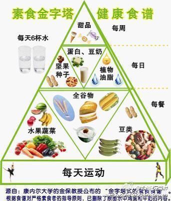 食物营养金字塔，构建孩子健康成长的饮食基础