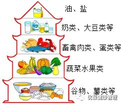 构建孩子健康成长的营养基石，营养与健康食物金字塔