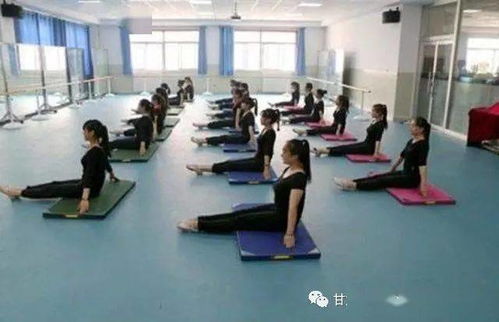 全面掌握幼师专业，培养下一代的基石