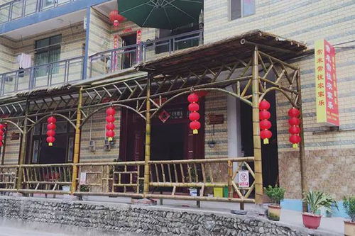 农村休闲娱乐场所项目，促进儿童全面发展的新天地