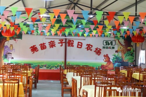 农村休闲娱乐场所项目，促进儿童全面发展的新天地