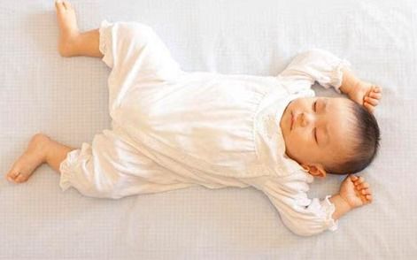 幼儿教育书刊摘记，培养未来的花朵