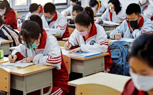 职高幼儿教育专业高考，考试内容与准备策略