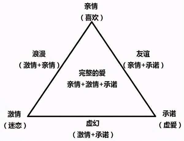 幼儿教育学中的关键名词解释，构建孩子成长的基石