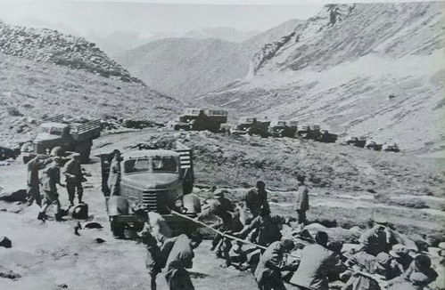 如何高效记录孩子的游玩活动过程