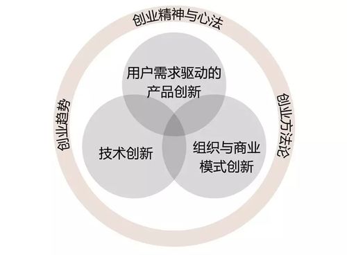 提升企业成长能力，策略与实践