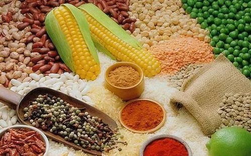 谷类食物营养全解析，为孩子打造健康饮食计划