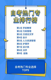 幼儿教育专业选择指南，为未来就业铺路