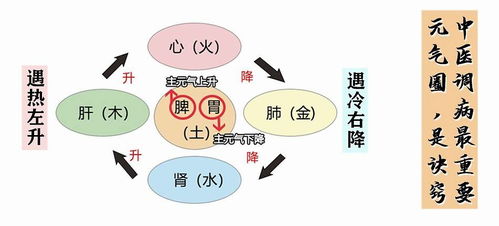 理解调节变量，在育儿中如何运用调节效应