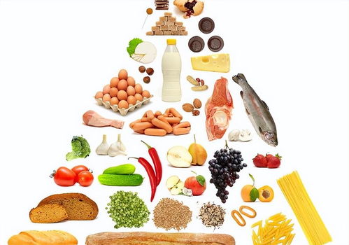 探索食物的营养价值，为孩子打造健康饮食手抄报