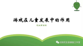 探索与成长，游乐项目在儿童发展中的作用