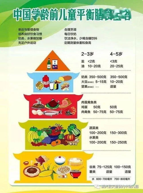 宝宝健康成长的基石，日常饮食营养成分表全解析