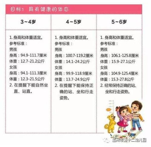 幼儿教育课程名词解释，构建孩子成长的基石