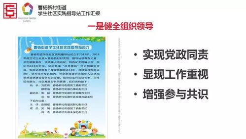 幼儿教育的基石，专业发展与实践指南