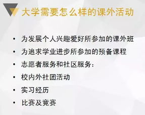 幼儿教育的基石，专业发展与实践指南