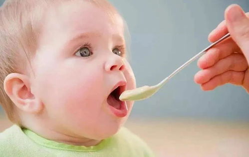 婴儿喂养，胃管喂养的科学与艺术