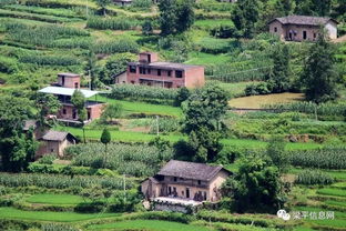 探索农村乐趣，适合家庭的农村游玩项目推荐