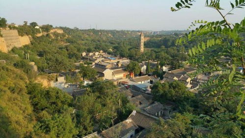 探索农村乐趣，适合家庭的农村游玩项目推荐