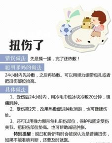 全面关注孩子成长，关键领域与育儿策略