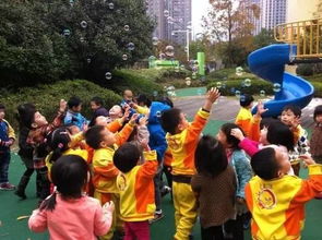 亲子游乐活动，促进家庭互动与孩子成长的多样化选择