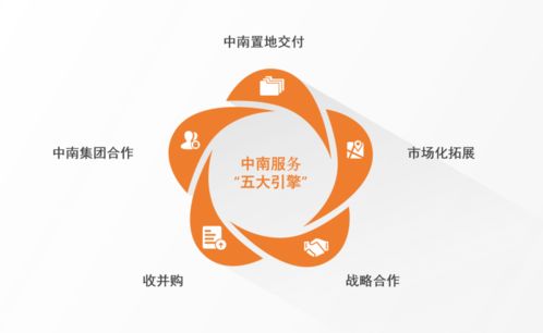 理解成长与发展的基本规律，为孩子的全面发展奠定坚实基础