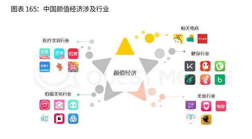 企业成长影响因素的深入剖析，关键驱动力与挑战