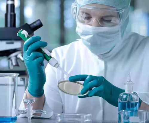 胃管喂食，为病人提供营养与关怀的科学指南