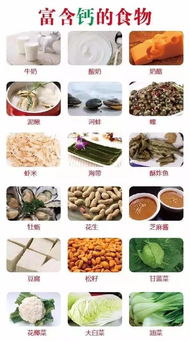 营养全知道，家庭必备常见食物营养价值表大全