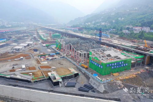 幼教转小教，职业发展的桥梁与挑战