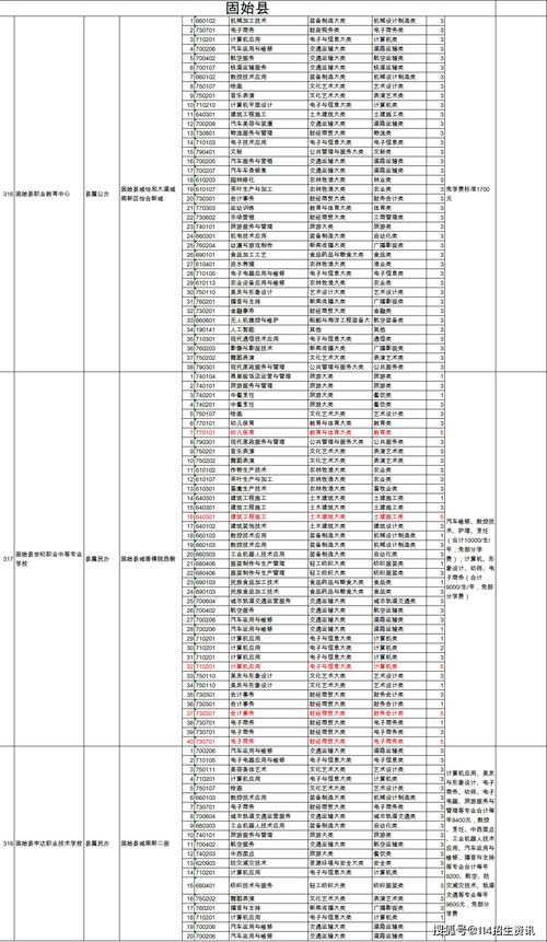 幼教转小教，职业发展的桥梁与挑战