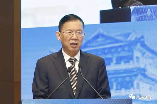 幼教转小教，职业发展的桥梁与挑战