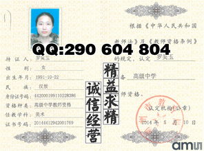 幼儿教师资格证书，报考条件与准备指南