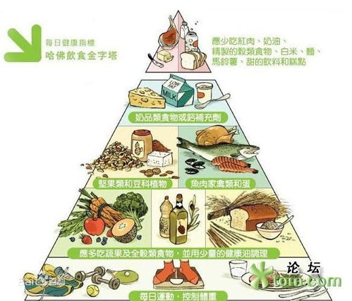 Understanding the Food Pyramid:A Guide for Children in English