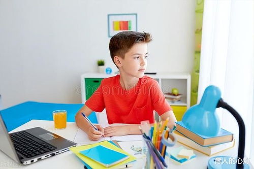 全面了解幼儿教育，内容、方法与目标