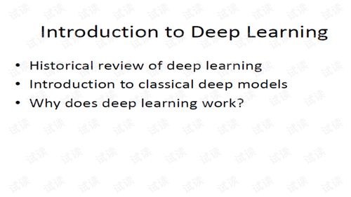 Playful Learning:How to Introduce English Vocabulary for Amusement Park Rides to Your Child