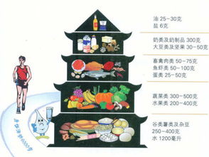 营养膳食金字塔图，构建孩子健康成长的饮食基础