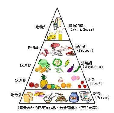 营养膳食金字塔图，构建孩子健康成长的饮食基础