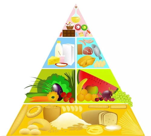营养膳食金字塔图，构建孩子健康成长的饮食基础