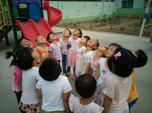 活动游戏，孩子成长中的快乐催化剂