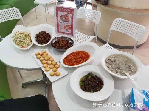 一千种食物，宝宝饮食多样化的重要性与实践指南